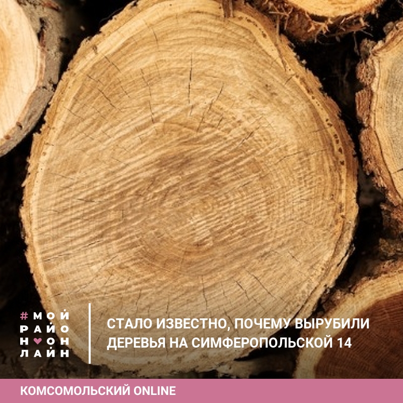 Почему вырубили свет. Выставка плакатов с незаконной вырубкой деревьев. Новокузнецк зачем вырубать деревья 2024.